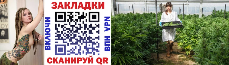Бошки Шишки Шуя