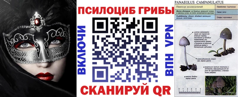 Псилоцибиновые грибы Magic Shrooms  хочу   Шуя 